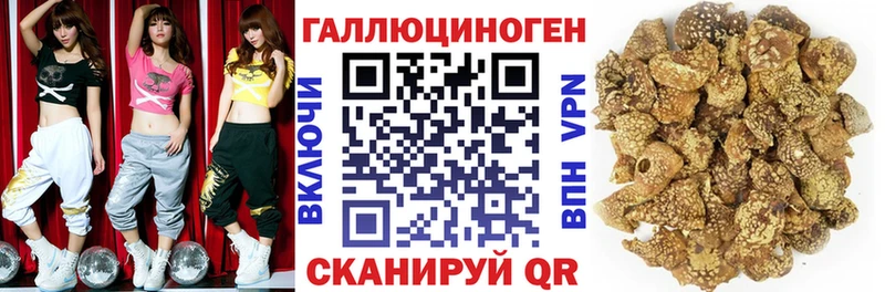где продают наркотики  Задонск  Псилоцибиновые грибы мухоморы 